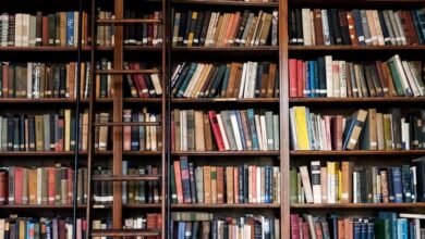 Thriller author names her top 5 spine-chilling books — including one that was adapted for Netflix