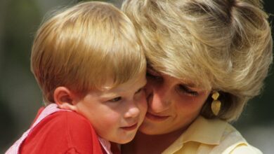 Princess Diana would be ‘proud’ of Prince Harry’s shocking interview royal author says – exclusive