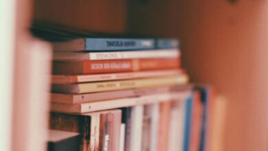 Publish Like a Pro: The Top 10 Best Hybrid Book Publishers in the USA That Every Author Should Know