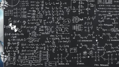 Will AI Replace Jobs? 17 Job Types That Might be Affected