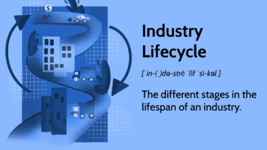 Understanding the Industry Life Cycle: Phases and Examples
