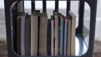 Top books to read this summer, according to Ann Patchett and Maureen Corrigan