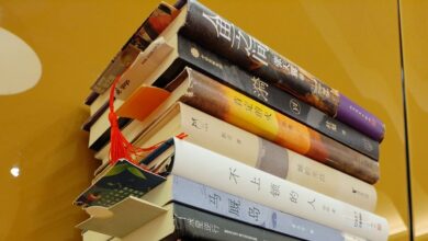 China’s best short fiction of 2025