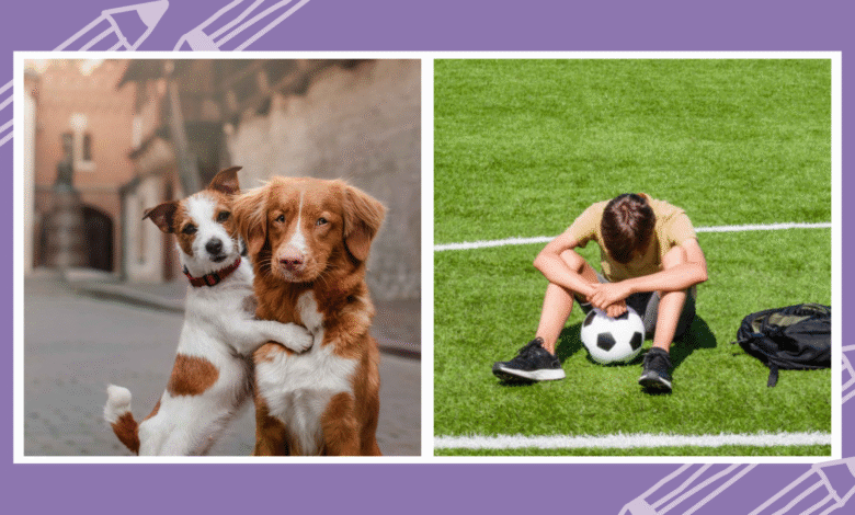 150 Inspiring Picture Writing Prompts (Free Google Slides) 150 Inspiring Picture Writing Prompts (Free Google Slides)