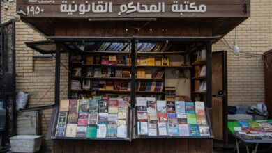 7 Books from Around the World to Read for Women in Translation Month