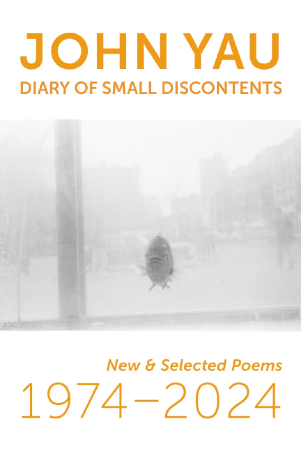 Diary of Small Discontents: New & Selected Poems 1974-2024 book cover image