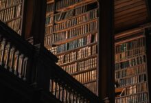 The Accidental Completionist – Reactor