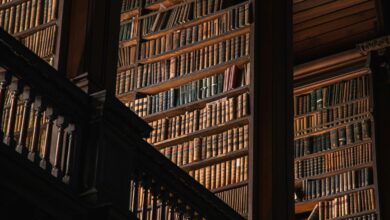 The Accidental Completionist – Reactor The Accidental Completionist – Reactor