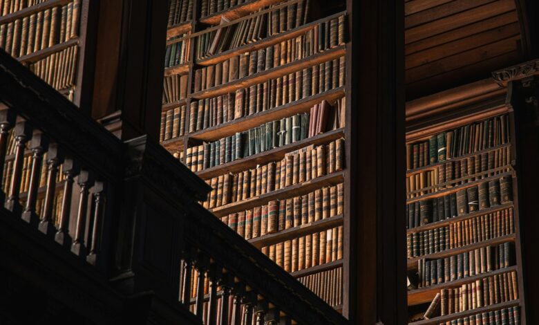 The Accidental Completionist – Reactor